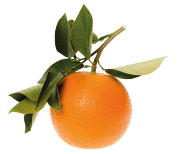 Soothing Bitter Orange Image